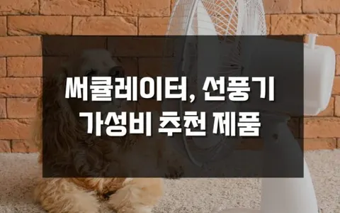 가성비 선풍기 추천 TOP3 - 홈플래닛 vs 한경희 vs 듀플렉스