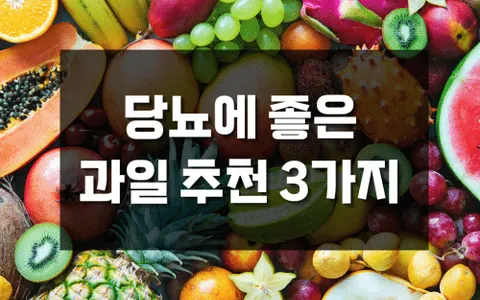 당뇨 환자에게 좋은 과일 3가지, 사과·블루베리·아보카도의 혈당 조절 비밀