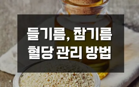 이게 혈당 스파이크, 혈관에 좋다고? 들기름, 참기름, 올리브유 효능 및 혈당 관리 정보