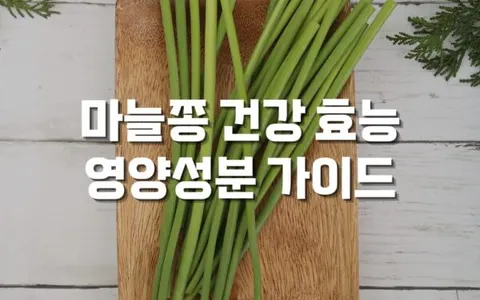 마늘쫑의 놀라운 건강 효능 - 완벽한 영양성분 가이드
