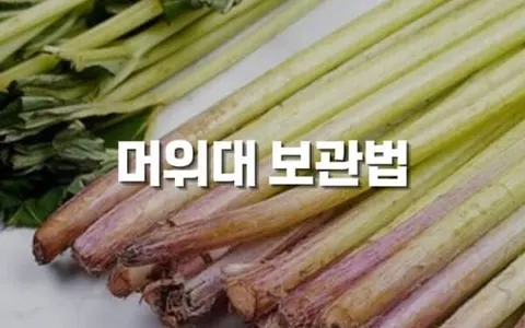 머위대 보관법 완전정복 - 냉장부터 냉동까지