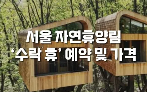 서울 노원구 자연휴양림 수락 휴 트리하우스 예약 방법 및 가격 정보