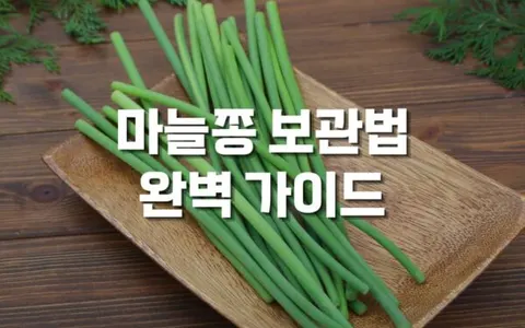 신선한 마늘쫑 보관법 및 고르는 법 완벽 가이드