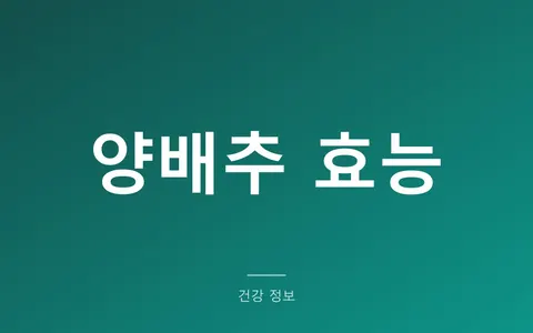 양배추 매일 먹으면 생기는 변화, 효능과 갑상선 주의사항