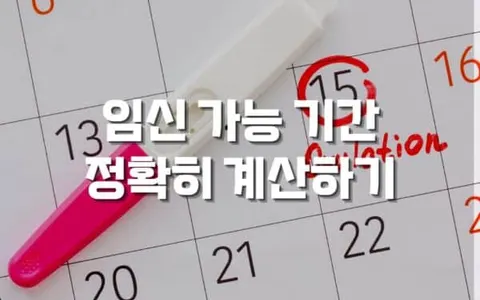 임신 가능 기간 정확히 계산하는 방법과 배란일 찾기