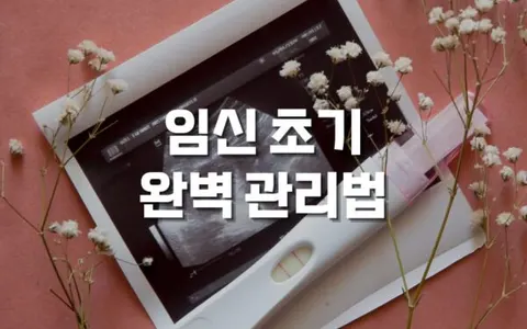 임신 초기 관리법, 태아와 엄마를 위한 12주 필수 가이드