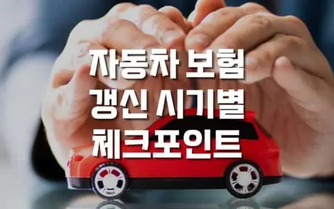 자동차 보험 갱신 시기별 체크포인트 - 보험 만료 전 준비사항과 기존 보험사 유지 vs 변경 판단 기준