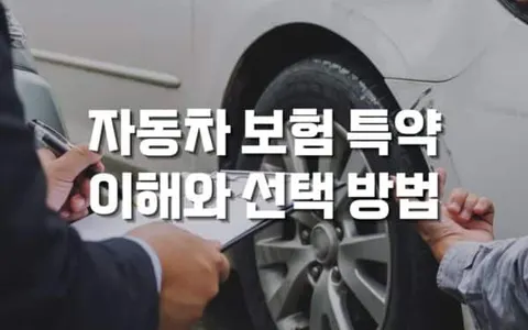 자동차 보험 특약 이해와 선택 가이드