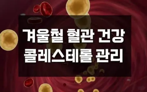 LDL보다 중요한 HDL 콜레스테롤, 겨울철 혈관 건강을 좌우합니다.