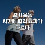 걷기 운동 효능