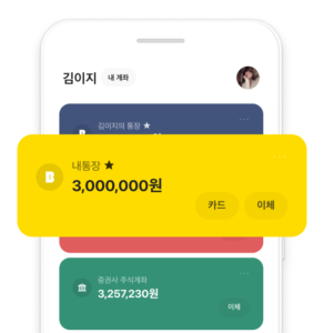 비상금 대출 상품 소개