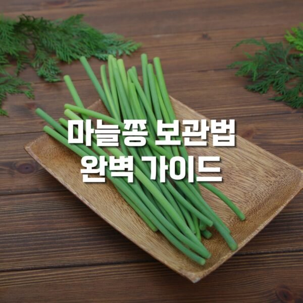 마늘쫑 보관법