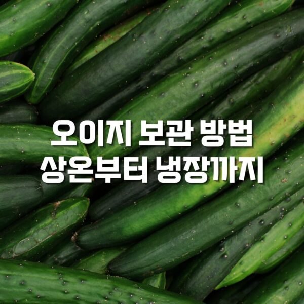 오이지 보관법