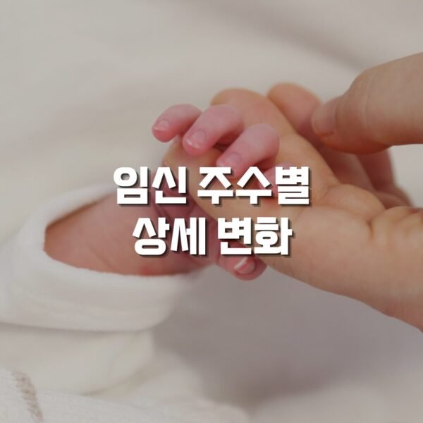임신 주수별 상세 변화