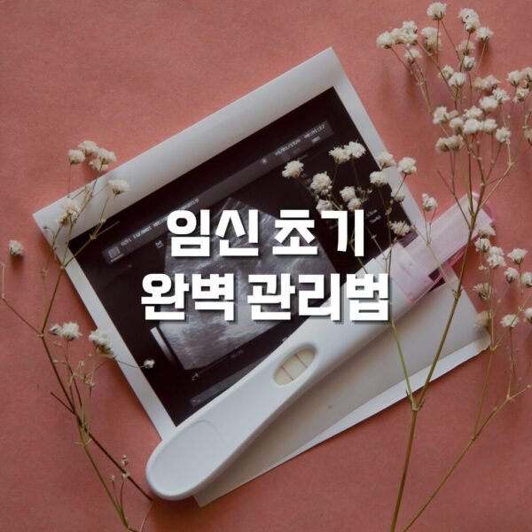 임신 초기 관리법