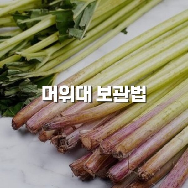 머위대 보관법