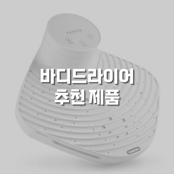 바디 드라이어 추천 제품