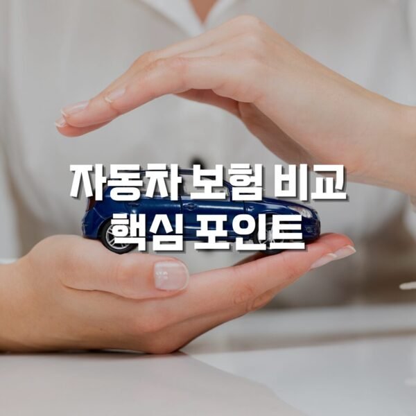 자동차 보험 비교