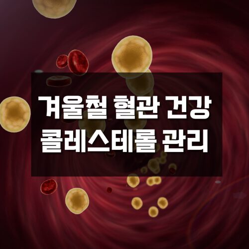 겨울철 콜레스테롤 혈관 관리