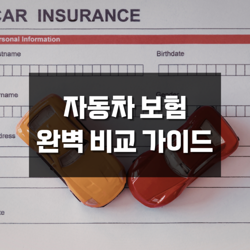 자동차 보험 비교 완벽 가이드