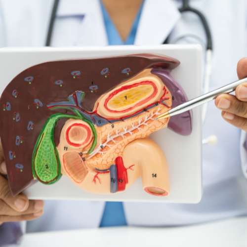 췌장 건강 위험 신호